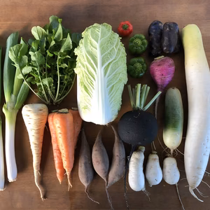 固定種の野菜セット【月１回定期常温便】