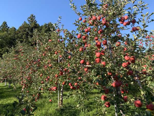 小山内農園