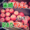 【米崎りんご】訳あり　サンふじ【岩手県陸前高田市】