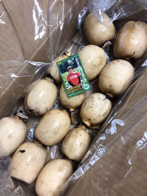 みんなの投稿の画像