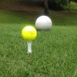 しんのすけ