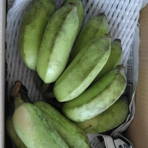 もちもち食感の沖縄県産無農薬アップルバナナ3kg期間限定！