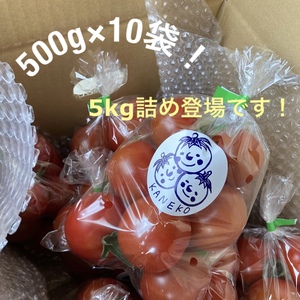 ★500g×10袋‼️5kg詰め　かねこのトマト農園
