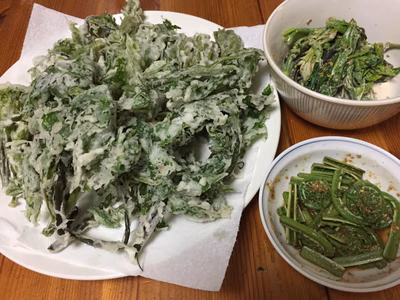 みんなの投稿の画像