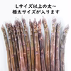 ただ今増量中！【全国送料無料】パープルだけの訳ありアスパラ