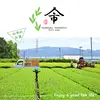 【新茶：普通煎茶】【送料：一律370円】沼津市産の茶葉を100％使用