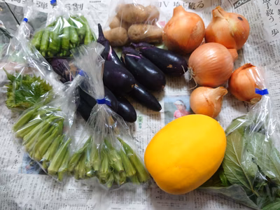 みんなの投稿の画像