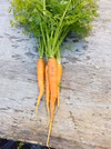 わしゃわしゃ葉付き人参　自然栽培、【時なし】