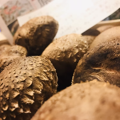 みんなの投稿の画像