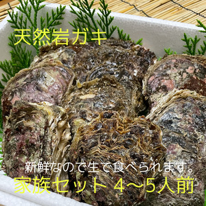生食可 天然岩ガキ 漁師直送でお届けします。