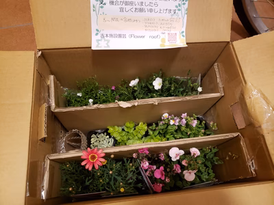 みんなの投稿の画像