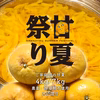 ［訳あり］甘夏祭り！マーマレードに！加工向きの甘夏【農薬不使用】