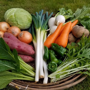 さくま農園「新セレクトお野菜ＢＯＸ」