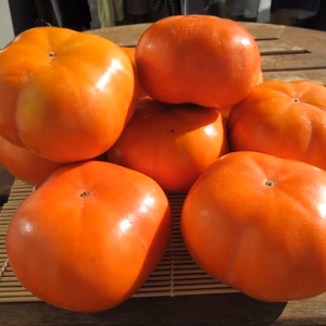 シャキシャキ食感！豊橋特産次郎柿 (贈答用 ６.５kg 約２５個)