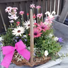 [母の日に！]お花たっぷりバスケットLサイズ[35センチ程度]