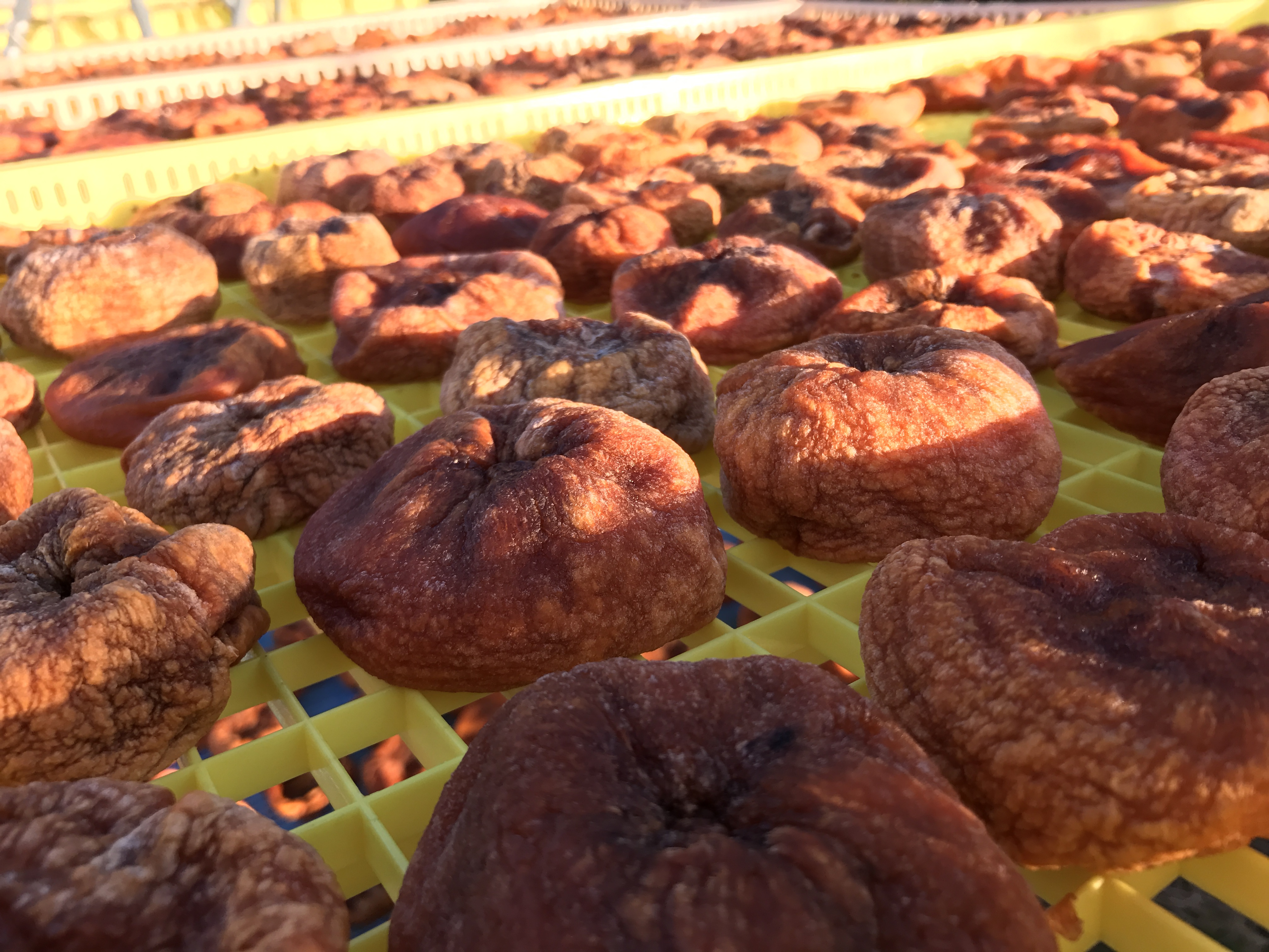 幻の柿 次郎柿を干し柿にしちゃいました 柿乃助5個 6個入り0g ２袋セット 農家漁師から産地直送の通販 ポケットマルシェ