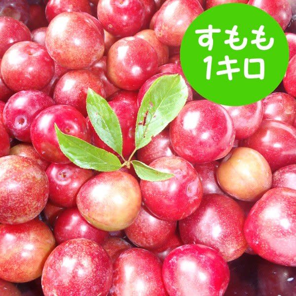 スモモの産直通販・お取り寄せ商品｜ポケットマルシェ｜産地直送で旬の