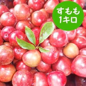 すもも（無選別）栽培期間中農薬不使用/伊豆産