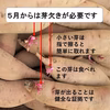 さつまいも（紅はるか）Ｍサイズ 長期熟成貯蔵　焼芋ラテの素2００ｇオマケ付き