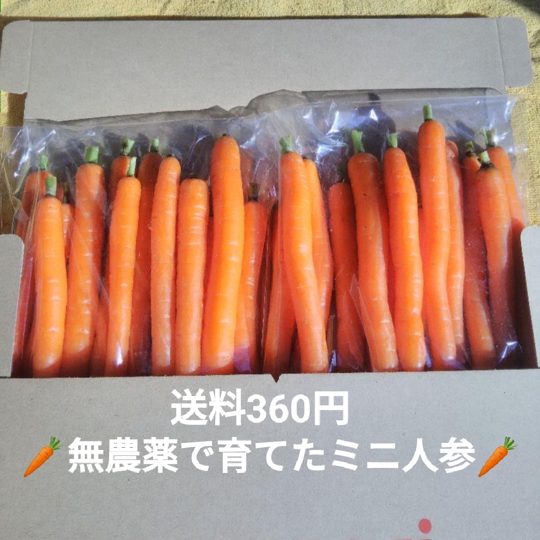 本物品質の ちゃいろいおうま様専用 間引き人参 にんじん 野菜 Kunokultas Lt