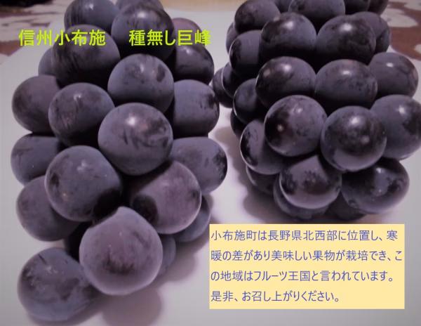 信州小布施　巨峰種無し　4㌔