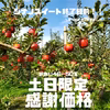 〈土日限定〉訳あり葉とらずシナノスイート 10月下旬 10キロ46～50玉