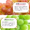 【予約商品】訳あり・規格外品 山形県産 シャインマスカットと品種お任せセット