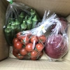 【川上農園】今が旬✨お試し野菜セット♪ ミニトマト&オクラ&ビーツ