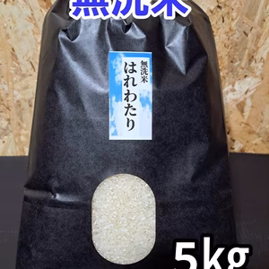 送料無料！令和6年青森県産無洗米はれわたり5kg