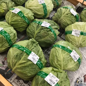 春キャベツとほうれん草