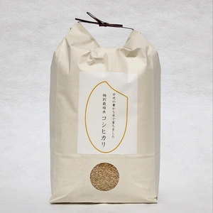 【新米】R5産 特別栽培米コシヒカリ 玄米5㎏