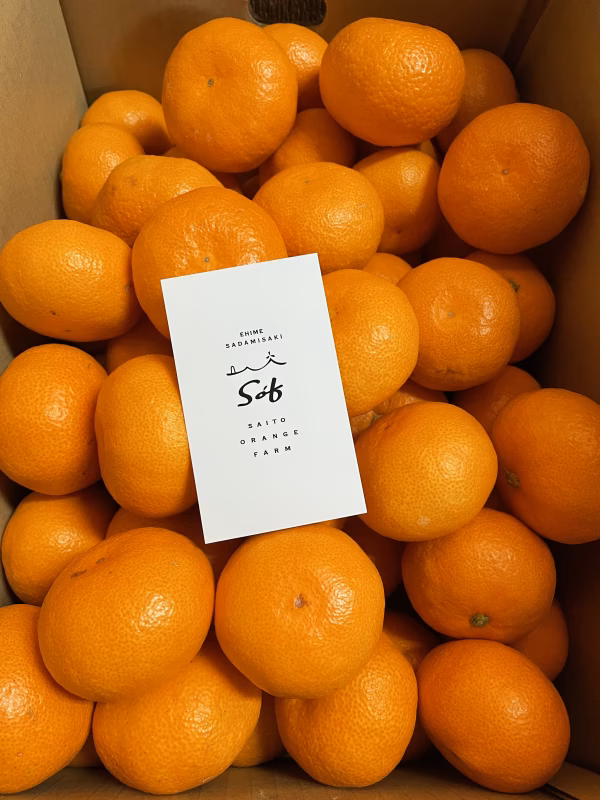 愛媛みかん　Sサイズ3kg『南柑20号』温州みかんの代表格