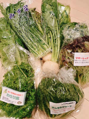 みんなの投稿の画像