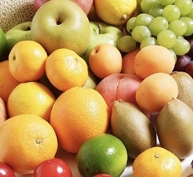 売上げ第１位 畑直送 畑で採れた果物をプレゼントこだわり有機栽培野菜10品セット 野菜の商品詳細 ポケットマルシェ 産直 産地直送 通販 旬の果物 野菜 魚介をお取り寄せ