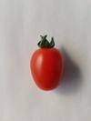 「ミニひばりトマト」