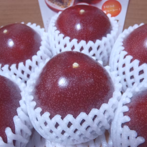 【農薬不使用】東京パッションフルーツL・LL玉１０個   ✖️２箱       