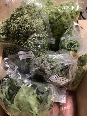 みんなの投稿の画像