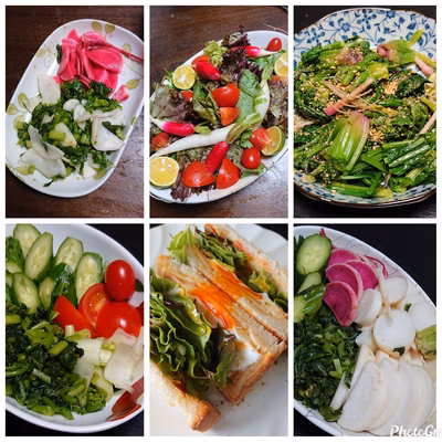 みんなの投稿の画像