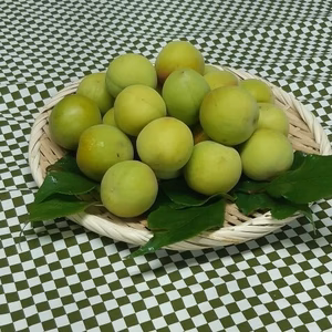 青梅（長束）L～２Lサイズ混合(梅酒、ジュース、梅干し、梅ジャムなど)