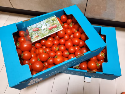 みんなの投稿の画像