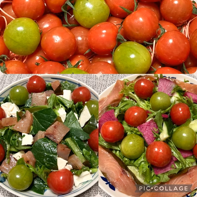 みんなの投稿の画像