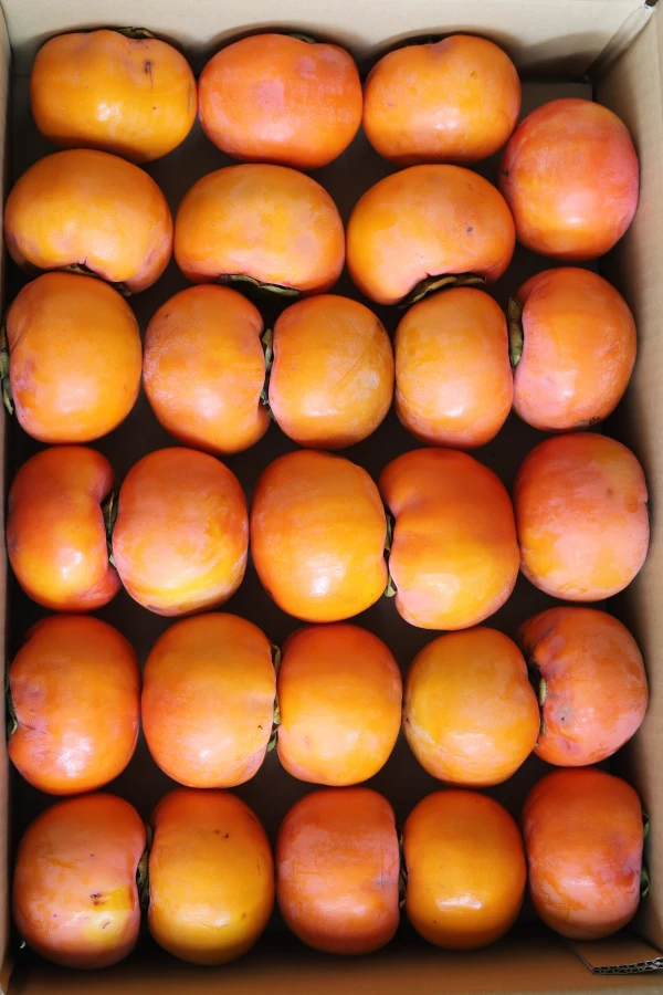 大の果物好きが作るこだわりの柿【得用】樹上完熟富有柿6.5kg