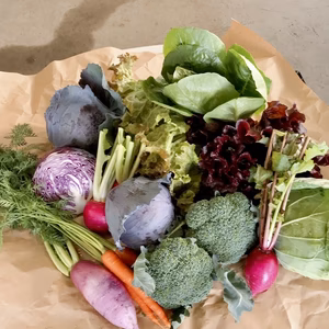 ないとうさん家のサラダ野菜セット♪湖国からの旬便り
