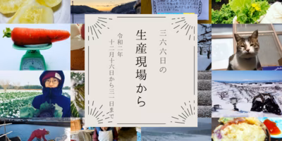 飼い猫のこまつ…かわいすぎませんか😍12月後半の生産現場から