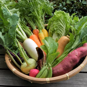 但馬の旬をお届け！採れたて野菜セット(農薬・化学肥料不使用)