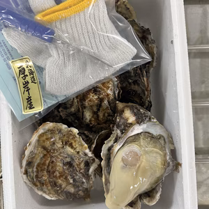 ⭐︎厚岸冬の殻付き牡蠣⭐︎3Lサイズ
