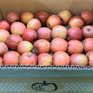 毎日りんご!!サンふじ【極小玉バラ詰め】家庭用約5Kg　抜群コスパ