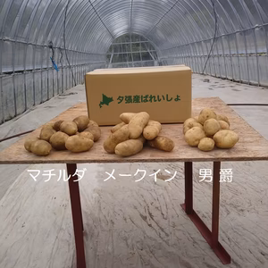 3種類食べ比べセット（マチルダ、メークイン、男爵）