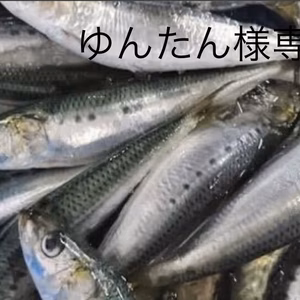 ゆんたん様専用