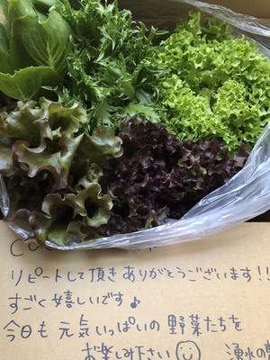 みんなの投稿の画像